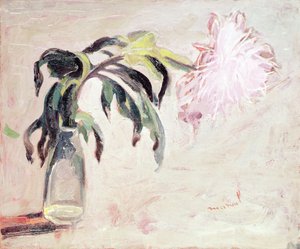 Un Chrysanthème dans une Bouteille - Jacqueline Marval