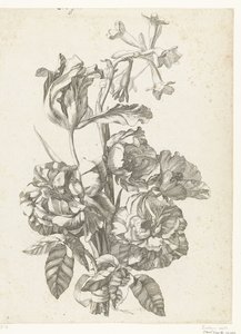 Bouquet avec pivoines, une tulipe et une brodiaea (Diverses Fleurs mises en Boucquets)