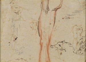 Une jambe et une tête de cochon - Jacques Callot
