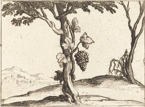 Grappe de raisins - Jacques Callot