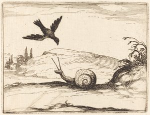 Corbeau et escargot