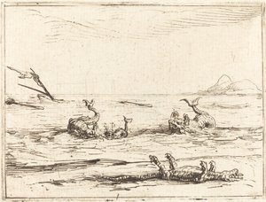 Dauphins et crocodile - Jacques Callot