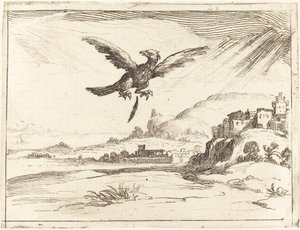 Aigle perdant une vieille plume, 1628 - Jacques Callot