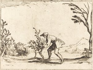 Homme coupant un baumier