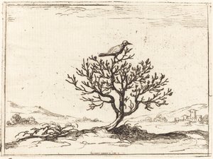 Rossignol dans un buisson