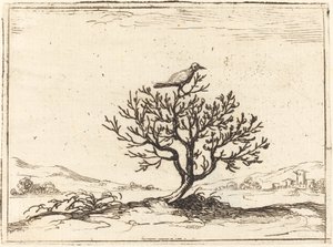 Rossignol dans un buisson, 1628