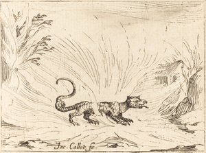 Salamandre entourée de flammes - Jacques Callot