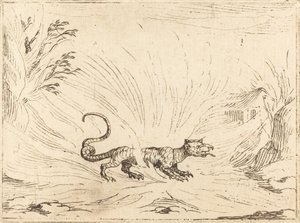 Salamandre entourée de flammes - Jacques Callot