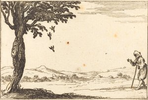 La corneille et ses petits