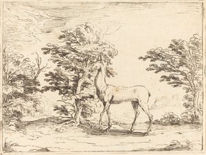 La Biche - Jacques Callot