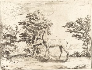 La biche - Jacques Callot