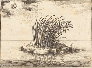 Les Roseaux et le Vent - Jacques Callot