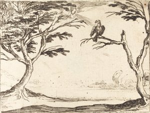 Le Vautour - Jacques Callot