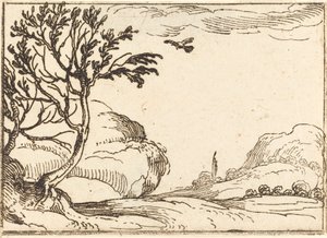 Tourterelle volant dans le désert - Jacques Callot