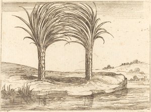 Deux palmiers - Jacques Callot