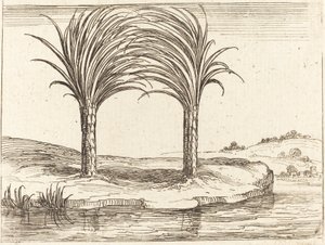 Deux palmiers - Jacques Callot