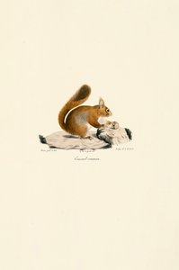  - Jacques Christophe Werner