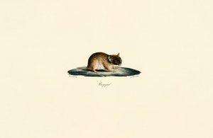  - Jacques Christophe Werner