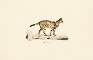  - Jacques Christophe Werner