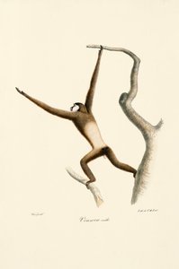  - Jacques Christophe Werner