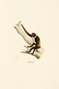  - Jacques Christophe Werner