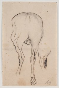 Cheval vu de dos et une jambe de cheval - Jacques Francois Joseph Saly