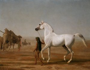 Le Wellesley Grey Arabian conduit à travers le désert - Jacques Laurent Agasse