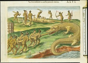 Chasse aux Crocodiles, de 
