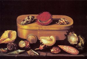 Nature morte aux coquillages