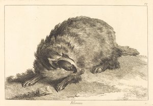 Blaireau - Jacques Philippe Le Bas and Jean Eric Rehn after Jean Baptiste Oudry