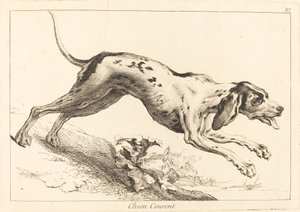 Chien courant - Jacques Philippe Le Bas and Jean Eric Rehn after Jean Baptiste Oudry
