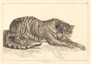 Léopard ou Tigre - Jacques Philippe Le Bas and Jean Eric Rehn after Jean Baptiste Oudry