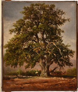 Le Vieux chêne - Jacques Raymond Brascassat