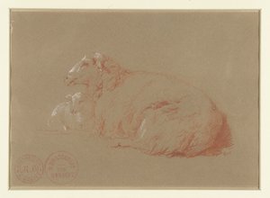 Mouton couché avec agneau - Jacques Raymond Brascassat
