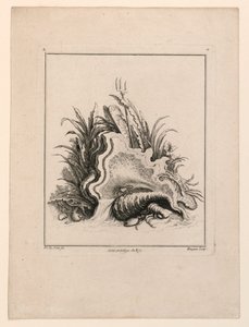 Écusson, de "Recueil Nouveau de Differens Cartouche" - Jacques de Lajoüe