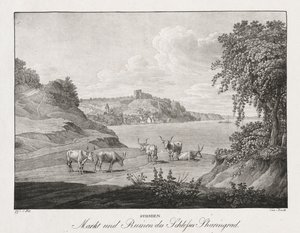 Syrmien, marché et ruines du château de Sharengrad - Jakob Alt
