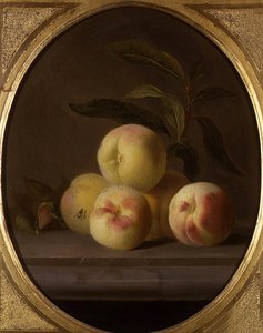 Nature morte de fruits avec une mouche