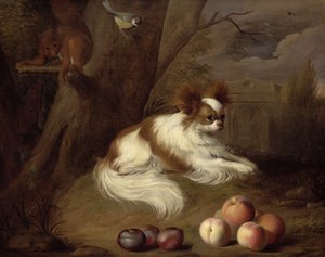 Image inconnue - Jakob Bogdani or Bogdany