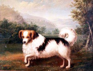 Un Papillon Phallène dans un Paysage des Highlands