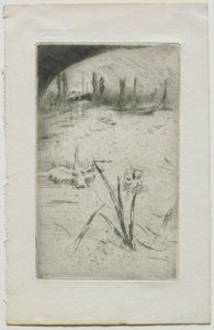 Cygne et Iris, 1883