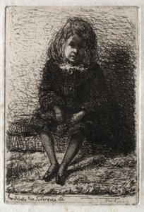 Douze gravures de la nature : Petit Arthur, 1858