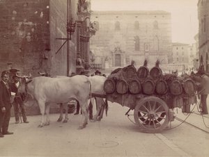 Carro con buoi, Pérouse, années 1880