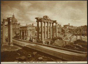 Le Forum romain, vu de la capitale - James Anderson