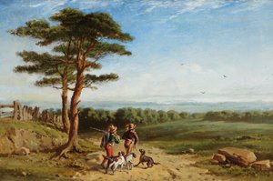 Paysage