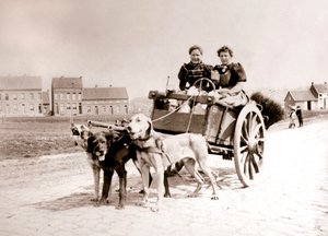 Chiens tirant des femmes sur une charrette, Anvers, 1898