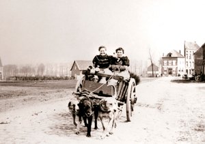 Chiens tirant des femmes sur une charrette, Anvers, 1898