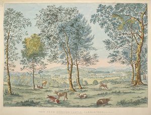 Vue du château de Dynevor, Carmarthen