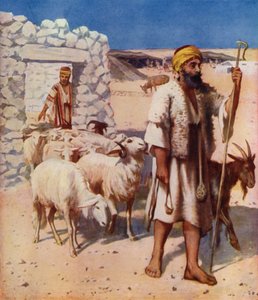 Berger et enclos à moutons