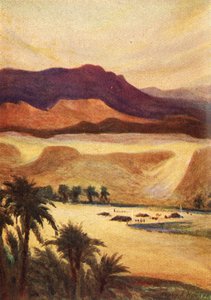 Un camp palestinien à Élim - Heb. xiii. 11