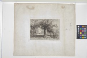 Paysage - James David Smillie